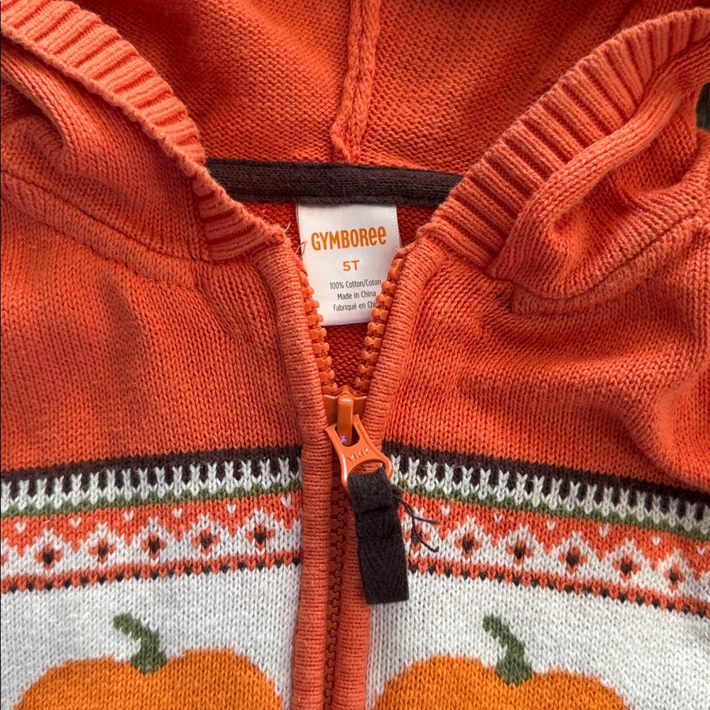 Gymboree Orange Knit Sweater with Pumpkin Pattern - Picture 2 of 4